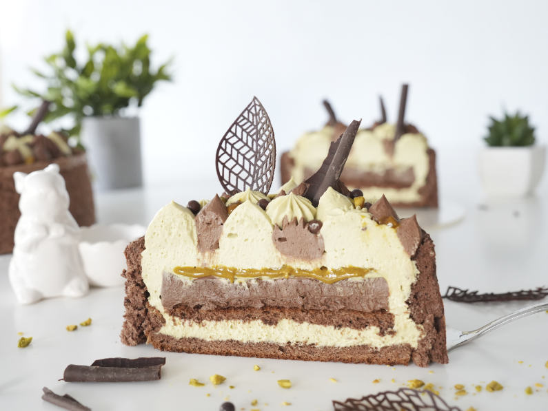 Charlotte Facile Pistache Chocolat