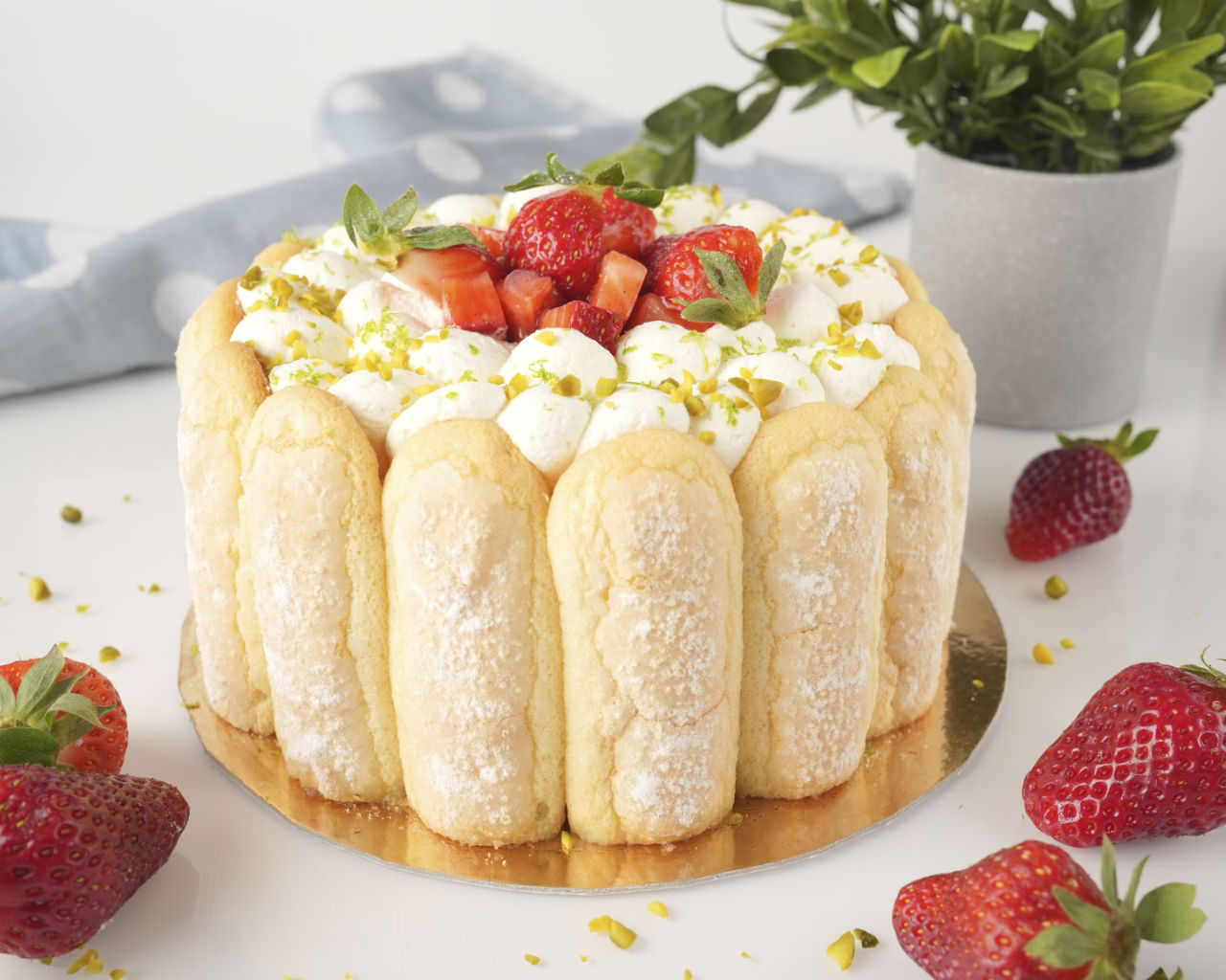 Recette Charlotte Fraises rapide facile_Recettes de Vanessa